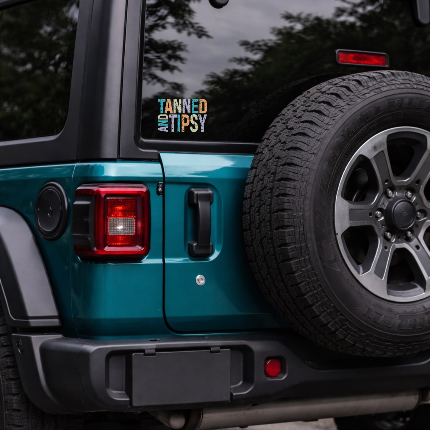 Ain't no laws - decal